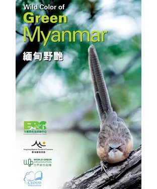 書封 緬甸野艷Wild Color of Green Myanmar
